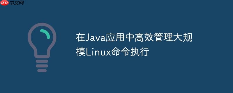在java应用中高效管理大规模linux命令执行