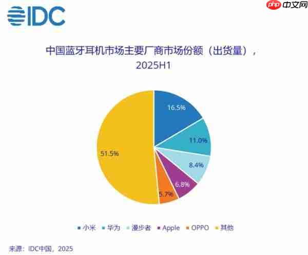 2025 上半年中国蓝牙耳机市场份额出炉:小米第一
