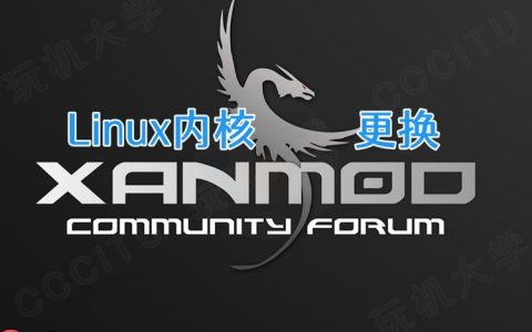 如何实时监控进程资源占用 top命令交互操作指南