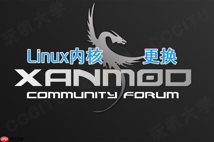 如何实时监控进程资源占用 top命令交互操作指南
