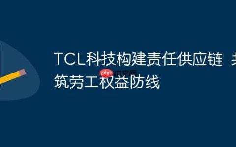 TCL科技构建责任供应链  共筑劳工权益防线