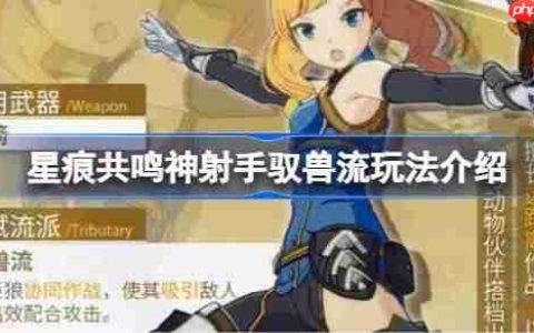 星痕共鸣神射手驭兽流该怎么玩-星痕共鸣神射手驭兽流玩法介绍
