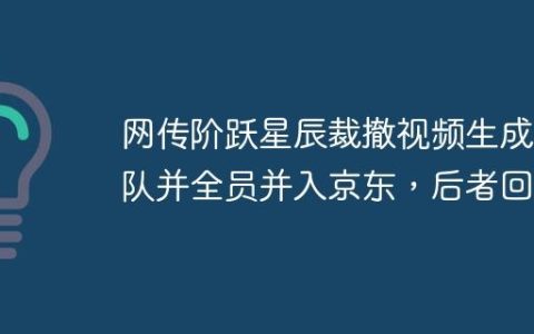 网传阶跃星辰裁撤视频生成团队并全员并入京东，后者回应