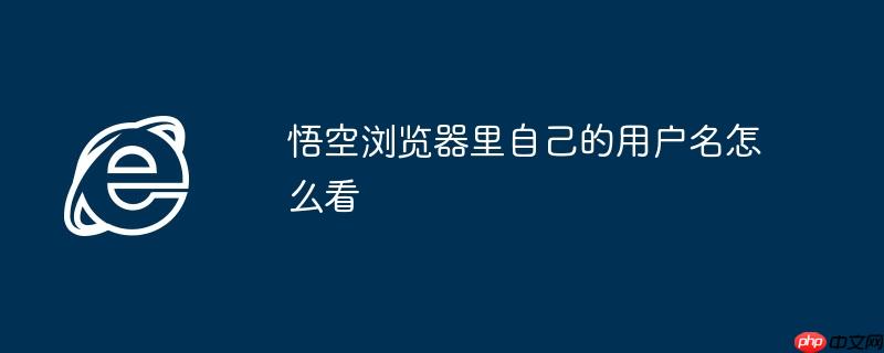 悟空浏览器里自己的用户名怎么看