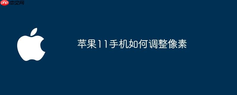 苹果11手机如何调整像素