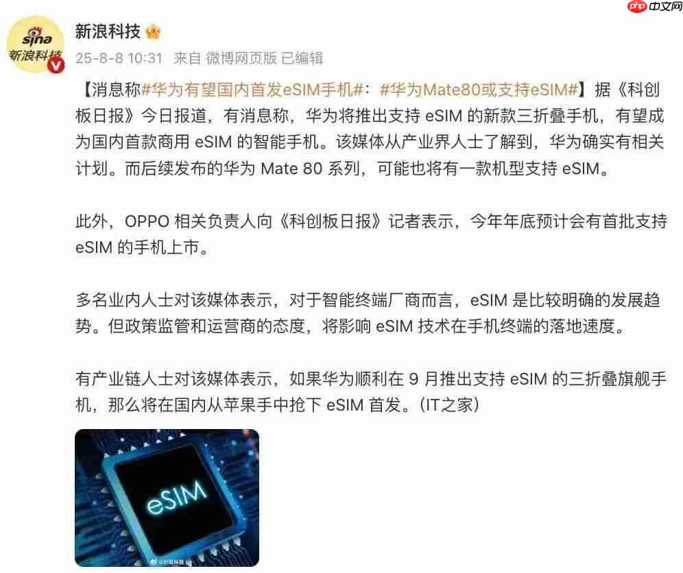 华为 Pura80 系统显示麒麟处理器,后续新机待发布