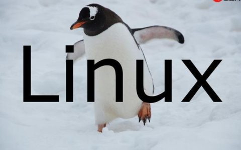如何挂载LinuxISO镜像 临时挂载光盘文件方法