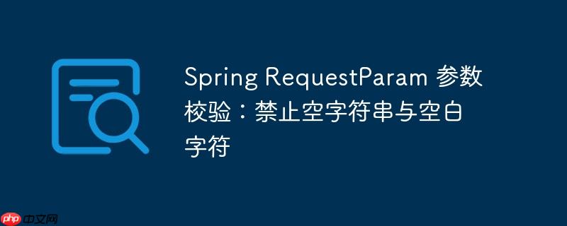 spring requestparam 参数校验:禁止空字符串与空白字符