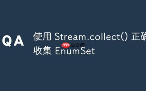 使用 Stream.collect() 正确收集 EnumSet