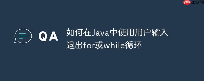 如何在Java中使用用户输入退出for或while循环