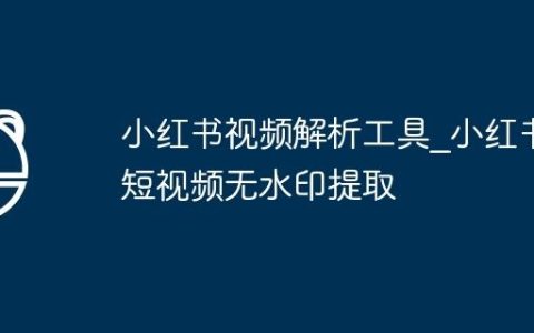 小红书视频解析工具_小红书短视频无水印提取