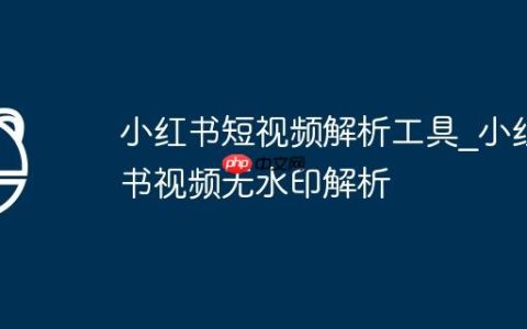 小红书短视频解析工具_小红书视频无水印解析