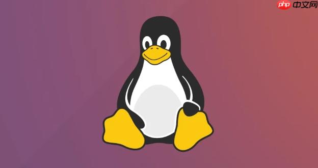 如何配置Linux网络接口DHCP dhclient使用详解