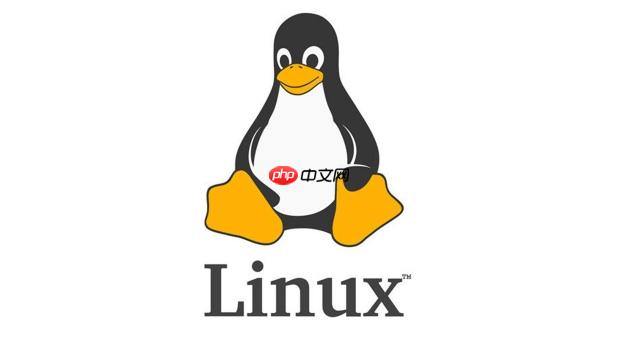 如何配置Linux网络接口DHCP dhclient使用详解