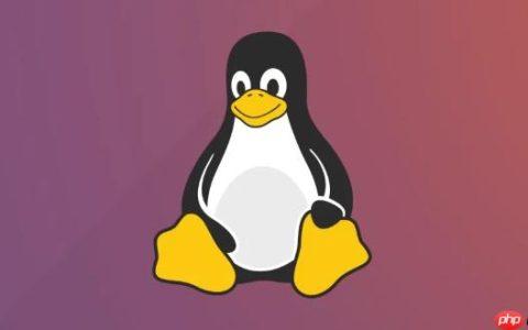 如何在Linux中比较两个文件差异 Linux diff命令逐行对比指南
