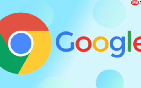 如何清理谷歌浏览器缓存 Chrome浏览器存储空间优化技巧