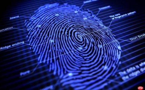 ie浏览器不能录指纹是什么原因 兼容性问题及替代方案