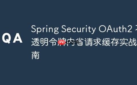 Spring Security OAuth2 不透明令牌内省请求缓存实战指南