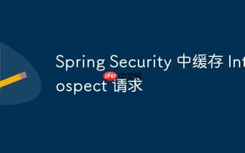 Spring Security 中缓存 Introspect 请求