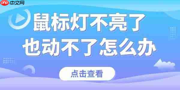 鼠标灯不亮了也动不了怎么办 快速解决鼠标故障
