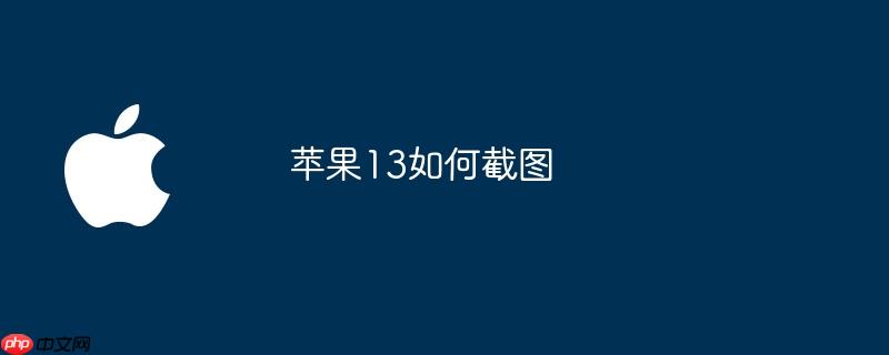 苹果13如何截图