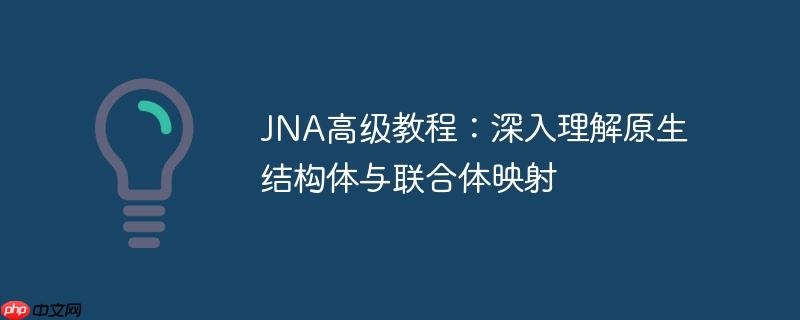 jna高级教程:深入理解原生结构体与联合体映射
