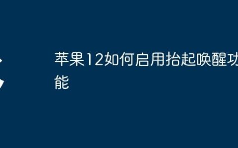 苹果12如何启用抬起唤醒功能
