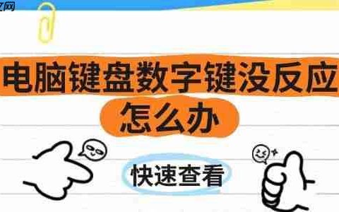 电脑键盘数字键没反应怎么办 一文带你解决