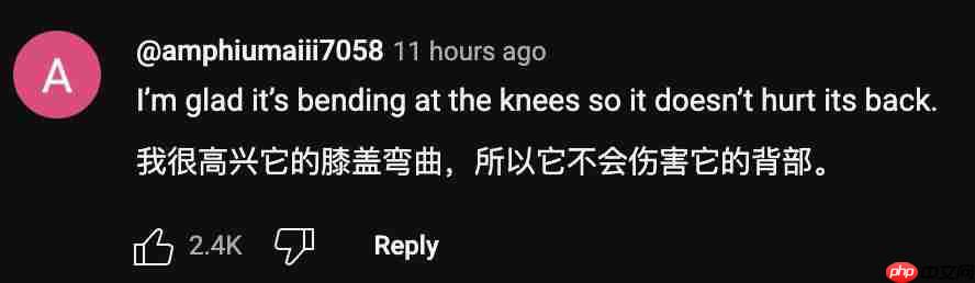  波士顿动力机器人终于有脑子了！人类故意使绊子也不怕 