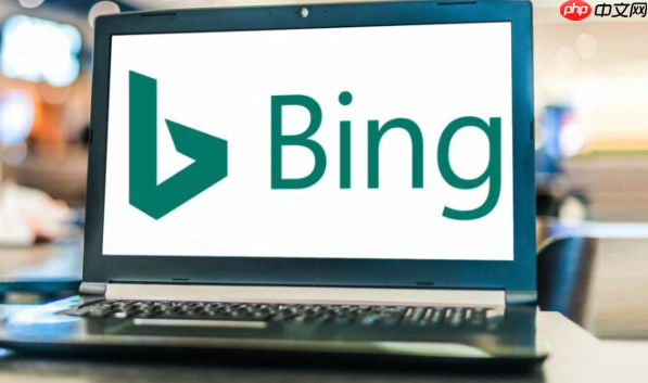 Bing国际版浏览器中文官网入口-Bing浏览器国际服多语言版本下载