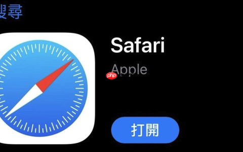 苹果浏览器图片怎么缩小_Safari网页图片缩放与查看技巧教程