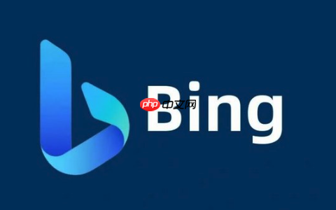 360极速浏览器默认搜索引擎Bing_360浏览器设置Bing搜索方法
