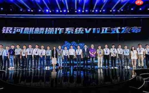 中国操作系统银河麒麟V11正式发布