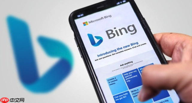 Bing设为360极速浏览器默认搜索引擎_360浏览器搜索设置教程
