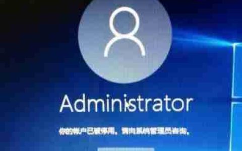 Win11你的账户已被停用请向管理员咨询怎么办？