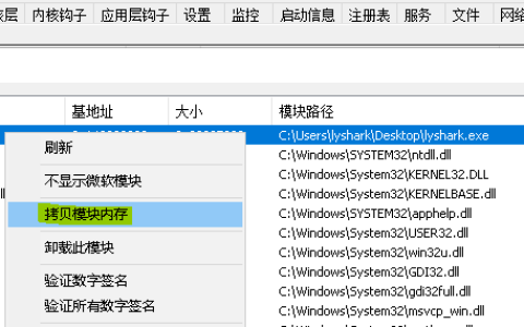 4.5 Windows驱动开发：内核中实现进程数据转储
