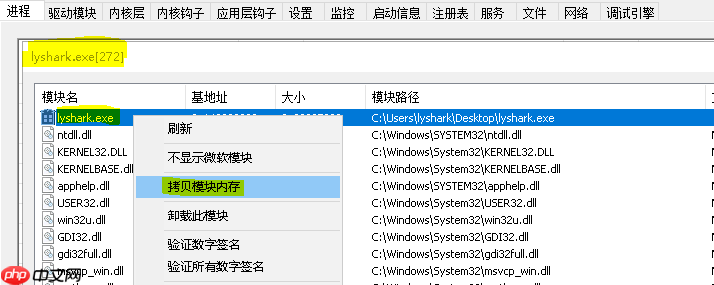 4.5 Windows驱动开发:内核中实现进程数据转储