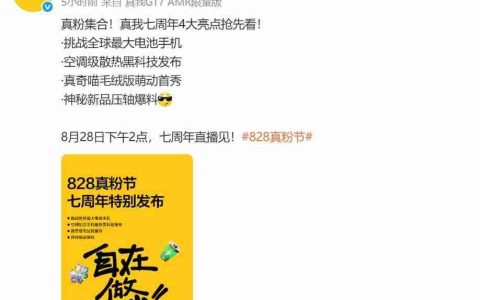 10000mAh 手机要来了吗？真我公布 828 真粉节亮点
