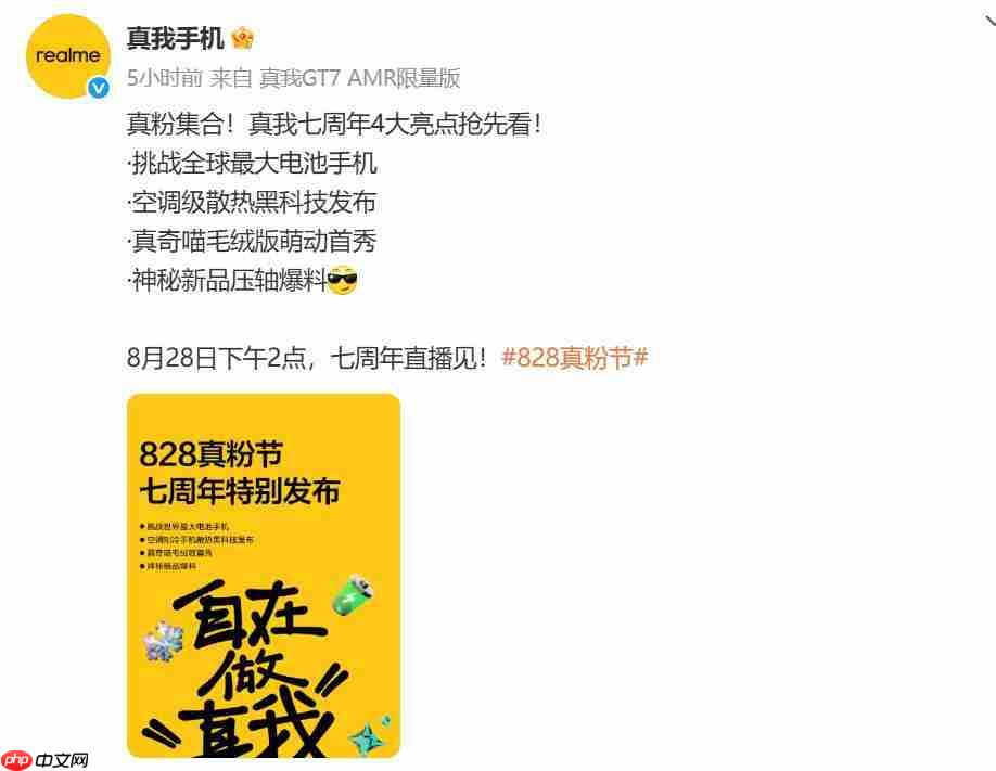 10000mAh 手机要来了吗?真我公布 828 真粉节亮点