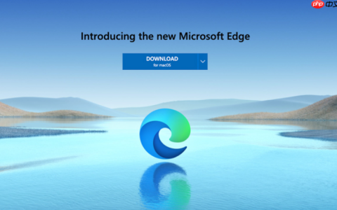 edge浏览器高效使用入口 浏览器edge登录地址快速获取