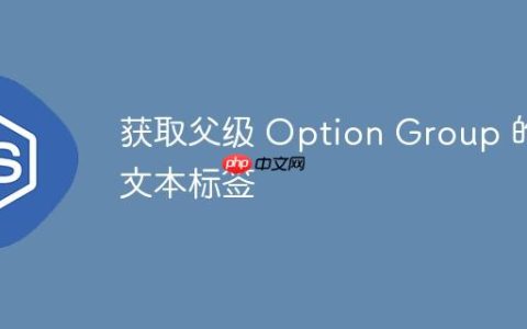 获取父级 Option Group 的文本标签