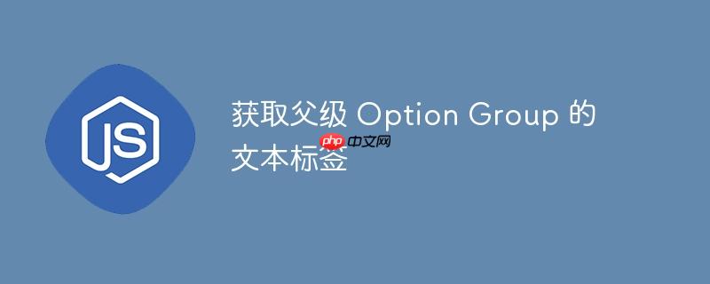 获取父级 option group 的文本标签