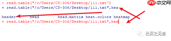 R读取TXT
