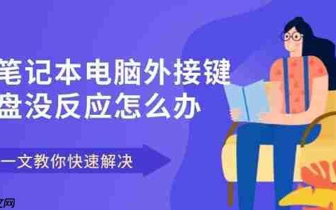 笔记本电脑外接键盘没反应怎么办 一文教你快速解决