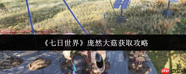 七日世界庞然大菇怎么获取 七日世界庞然大菇获取攻略
