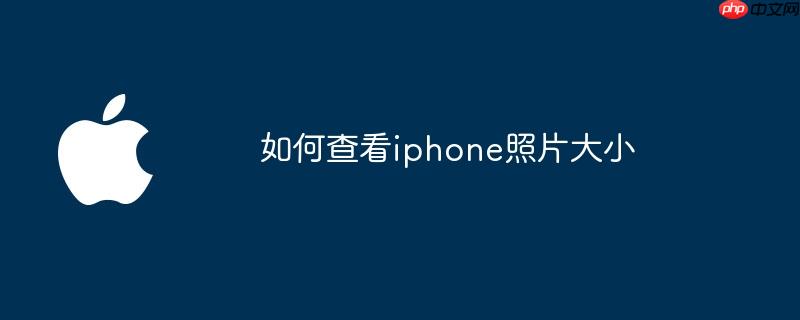 如何查看iphone照片大小