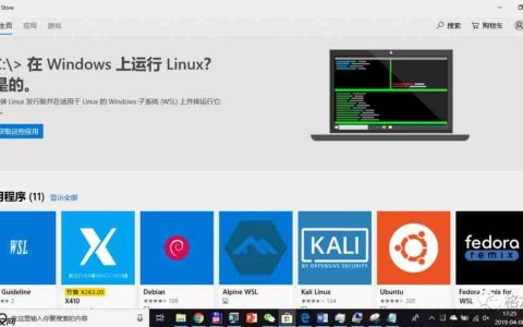 雕刻在NT内核中的LINUS故事