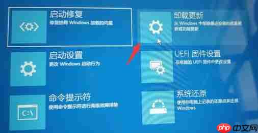 Win11退回Win10按键没反应怎么办?Win11退回Win10按键没反应解决