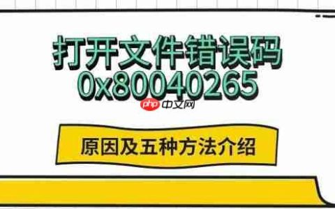 打开文件错误码0x80040265 原因及五种方法介绍