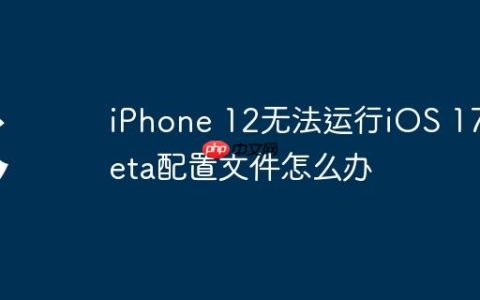 iPhone 12无法运行iOS 17 Beta配置文件怎么办